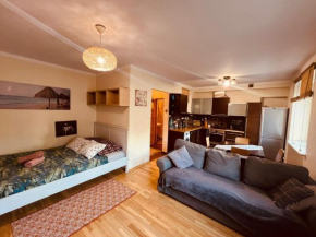 Entire Studio Flat